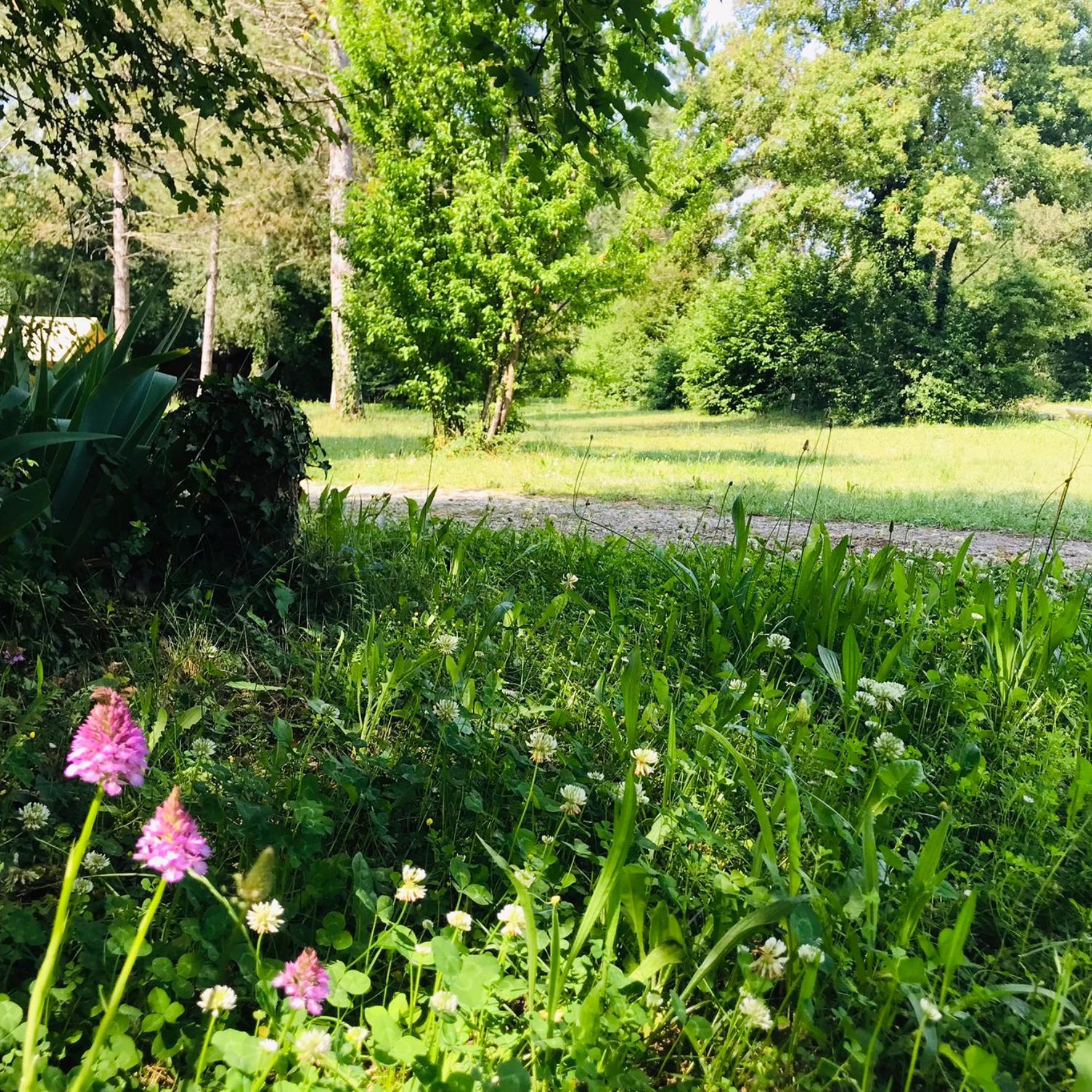 Camping La Vaugelette - Drome Montclar-sur-Gervanne Zewnętrze zdjęcie